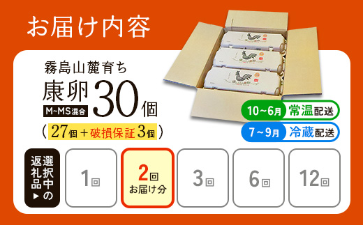 卵【2回定期便】霧島山麓育ち こだわり卵 康卵 計 30個（27個 + 割れ保証 3個）2回 計 60個（54個 + 割れ保証 6個）たまご 玉子 卵焼き 玉子焼き たまご焼き 生卵 鶏卵 たまごかけごはん 国産 九州産 宮崎県産 送料無料