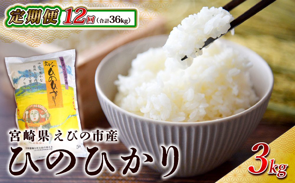 y{茧т̎szyNԒցzт̎Y Ђ̂Ђ 3kg×12 v 36kg     ɂ qmqJ ٓ B {茧 I ߂Ă 