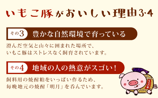 宮崎県えびの市のふるさと納税 【訳あり】いもこ豚（彩） 5種盛り バラエティセット 合計2.16kg バラ バラ 小間切れ 細切れ こま切れ ロース 肩ロース しゃぶしゃぶ スライス 豚ミンチ 豚肉 いもこ豚 セット 詰合せ 生姜焼き 焼肉 サムギョプサル ポッサム 豚丼 とんかつ鉄板 ホットプレート パーティー 冷凍 宮崎県産 九州産 発送時期が選べる 送料無料