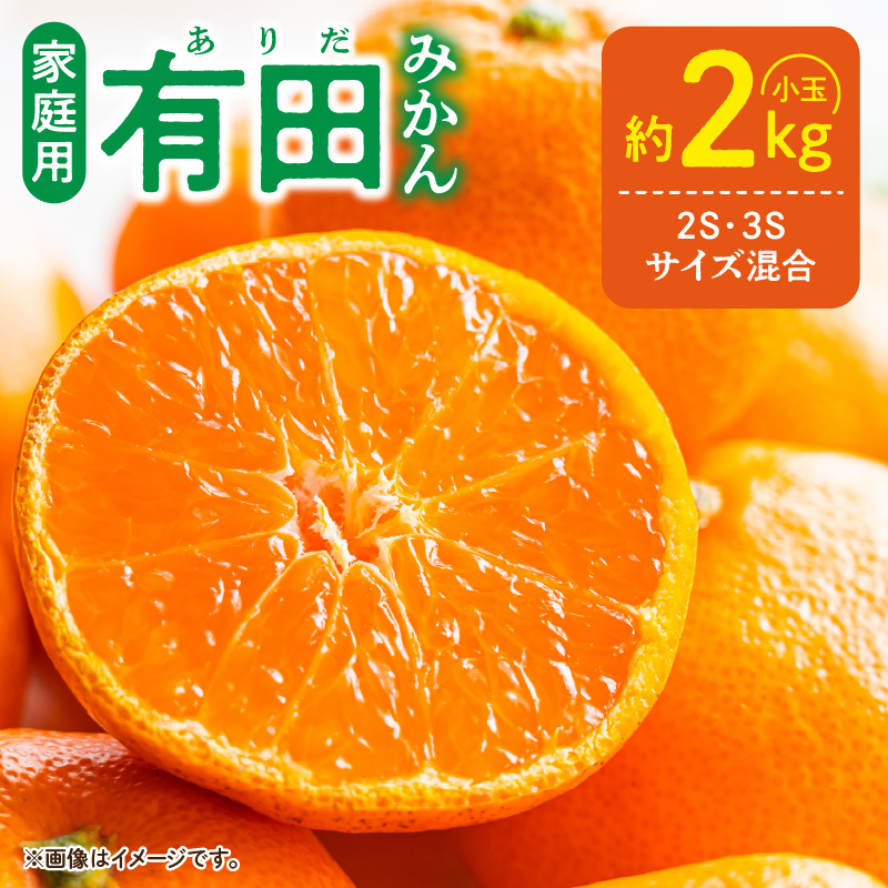 ZE6461_Y_【直営限定】まごころ搾りたて】有田みかん100％ジュース