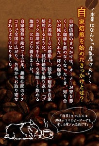 鹿児島県日置市のふるさと納税 No.202 ＜コーヒー豆＞自家焙煎コーヒー「海夢珈琲(マリンコーヒー)」(200g×3袋・計600g)飲料 コーヒー豆 自家焙煎 ブレンドコーヒー オリジナルブレンド 常温保存【HARU工房】