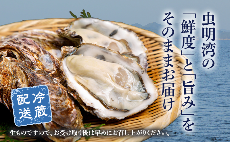 岡山県瀬戸内市のふるさと納税 牡蠣 2026年 先行予約 かんかん焼 （ 殻付き 大つぶ牡蠣 20個） 山銀商店 瀬戸内海虫明湾産 大粒 生牡蠣 かき 魚介類 カキ かんかん焼き 軍手 ナイフ付き 加熱調理用