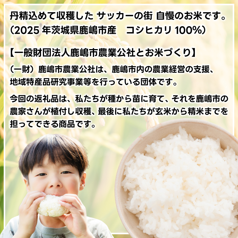 【3ヶ月定期便】★新米 令和7年★ 米 精米 白米 10kg（5kg×2袋）【総計 30kg】「こしひかり」先行予約 鹿嶋市産【令和7年産 コシヒカリ お米 コメ ごはん ライス ブランド米 茨城県 鹿嶋市】(KEJ-6)
