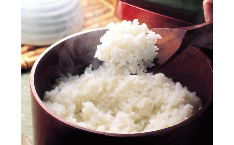 【新米】魚沼産コシヒカリ　無洗米　4kg　米 コメ こしひかり 精米 ブランド米 お取り寄せ 十日町市