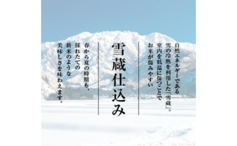 【新米】魚沼産コシヒカリ　4kg×全3回　米 コメ こしひかり 精米 ブランド米 お取り寄せ 十日町市