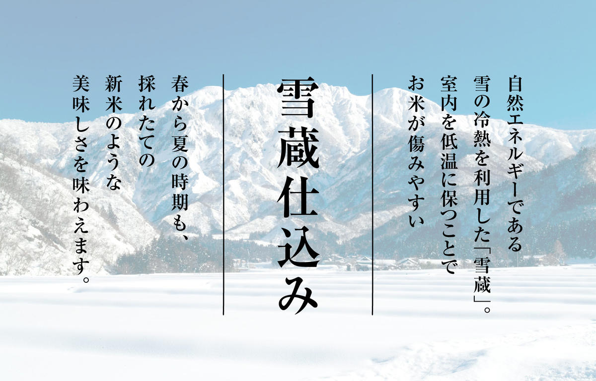 T-12【令和7年産 頒布会】無洗米 魚沼産コシヒカリ 4kg×全3回米 コメ こしひかり 精米 ブランド米 お取り寄せ 十日町市