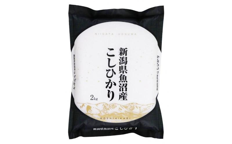 【新米】魚沼産コシヒカリ　4kg×全6回　米 コメ こしひかり 精米 ブランド米 お取り寄せ 十日町市