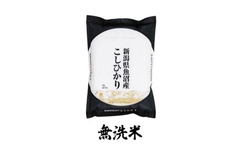 【新米】無洗米　魚沼産コシヒカリ　4kg×全6回　米 コメ こしひかり 精米 ブランド米 お取り寄せ 十日町市