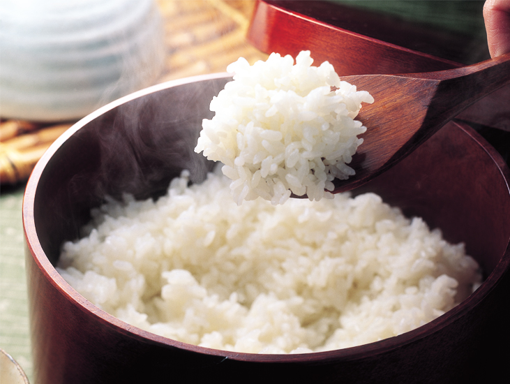 T-15【令和7年産 頒布会】魚沼産コシヒカリ 4kg×全12回米 コメ こしひかり 精米 ブランド米 お取り寄せ 十日町市