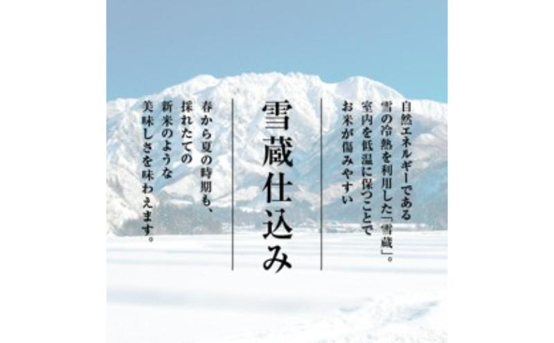 【新米】無洗米　魚沼産コシヒカリ　4kg×全12回　米 コメ こしひかり 精米 ブランド米 お取り寄せ 十日町市