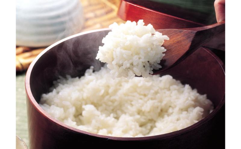 【新米】魚沼産コシヒカリ　4kg　米 コメ こしひかり 精米 ブランド米 お取り寄せ 十日町市