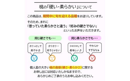 山形県南陽市のふるさと納税 【令和8年産先行予約】 《定期便4回》 フルーツ味わい定期便B 『フードシステムズ』 さくらんぼ 桃 シャインマスカット ラ・フランス りんご 果物 フルーツ 山形県 南陽市 [1141-R8]