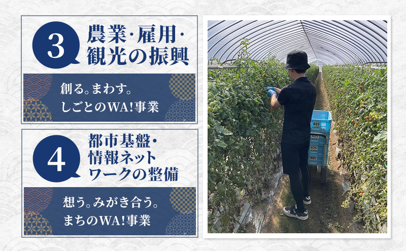 北海道 富良野市 寄附のみの応援受付 65,000円コース（返礼品なし 寄附のみ 65000円）