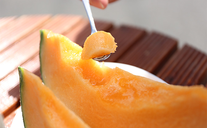 【2026年6月発送】富良野 メロン『NORTH PREMIUM』1玉 約2kg以上 フルーツ 果物