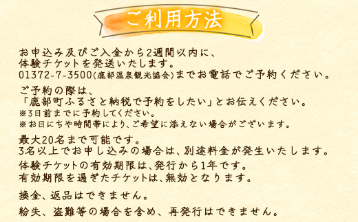 【お土産付き】駒ヶ岳山麓リゾート森あるき体験 2名様分 根昆布だし お土産付き 道の駅しかべ間歇泉公園 入園券付 旅行 観光 体験 送料無料