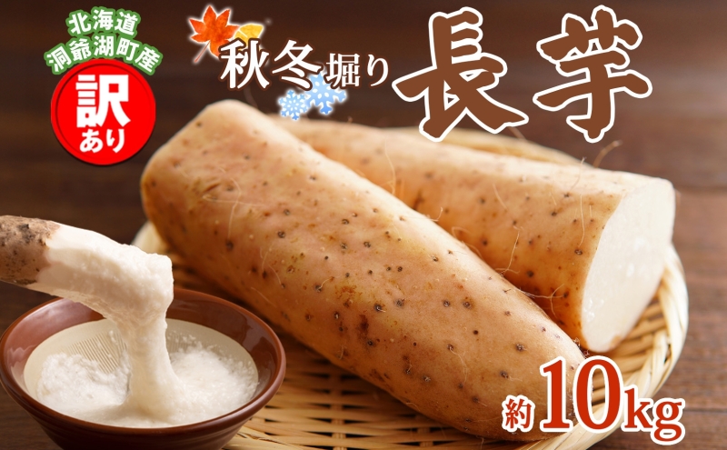ykCΒzΒY 󂠂  10kg 2025N12{珇͂  Y kCY A ƒp s Ƃ R Xe[L H    { kC Β