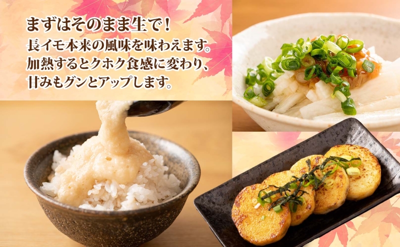 洞爺湖町産 訳あり 長芋 約10kg 2025年11月下旬から順次お届け 長いも 国産 北海道産 訳アリ 家庭用 不揃い とろろ 山かけ ステーキ 生食 調理 野菜 芋 旬 北海道 洞爺湖町