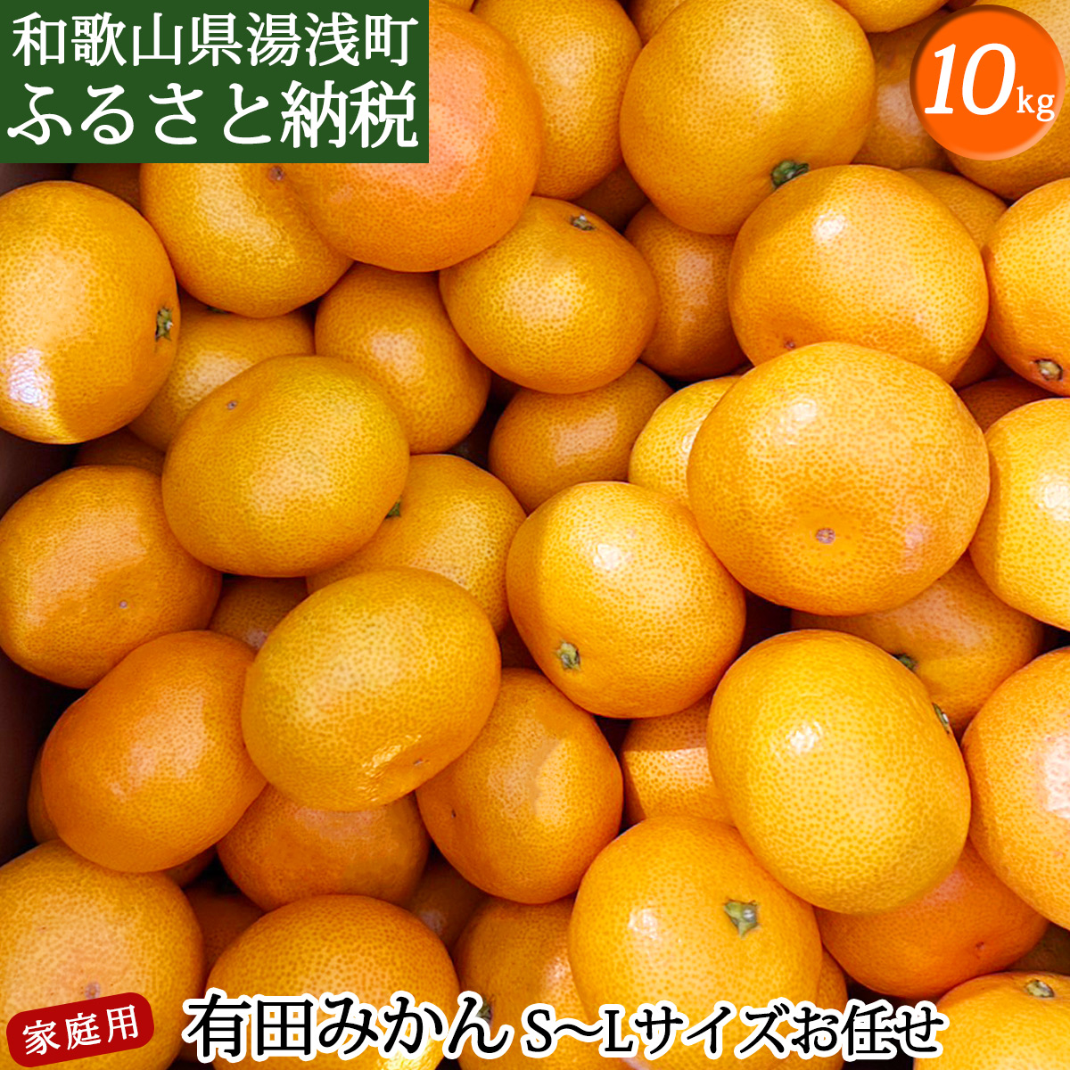 DZ6201_12_【2025年12月発送】ご家庭用 有田みかん 和歌山 S～Lサイズ 大きさお任せ 約10kg