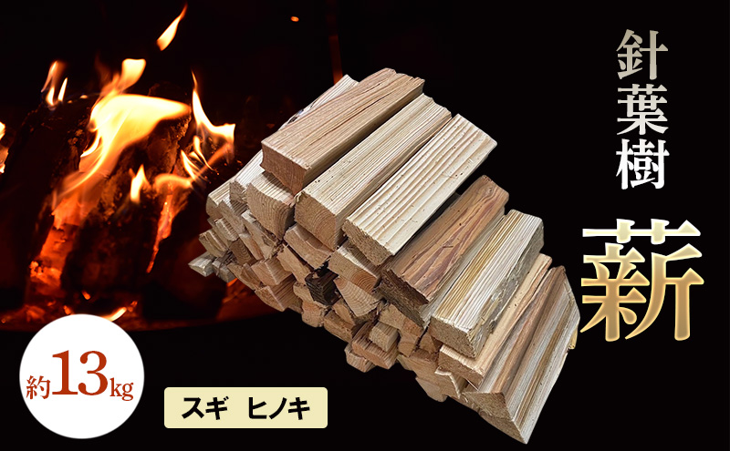 yRԔ֎szjt d 13kg XM qmL  w AEghA Lv  