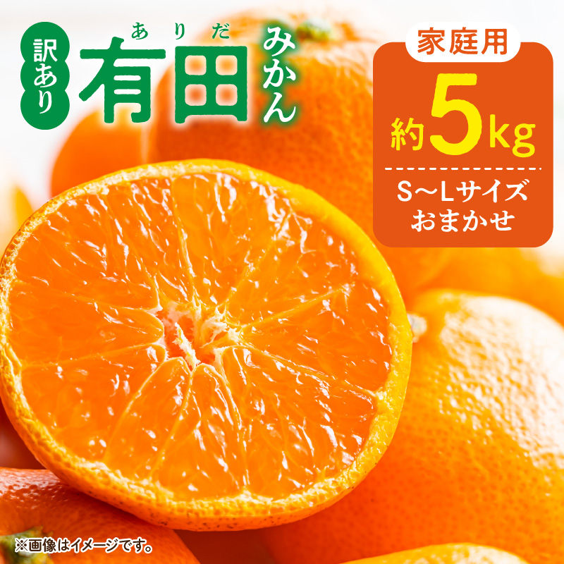 DZ6202_12_【2025年12月発送】ご家庭用 有田みかん 和歌山県産 S～Lサイズ 大きさお任せ 約5kg