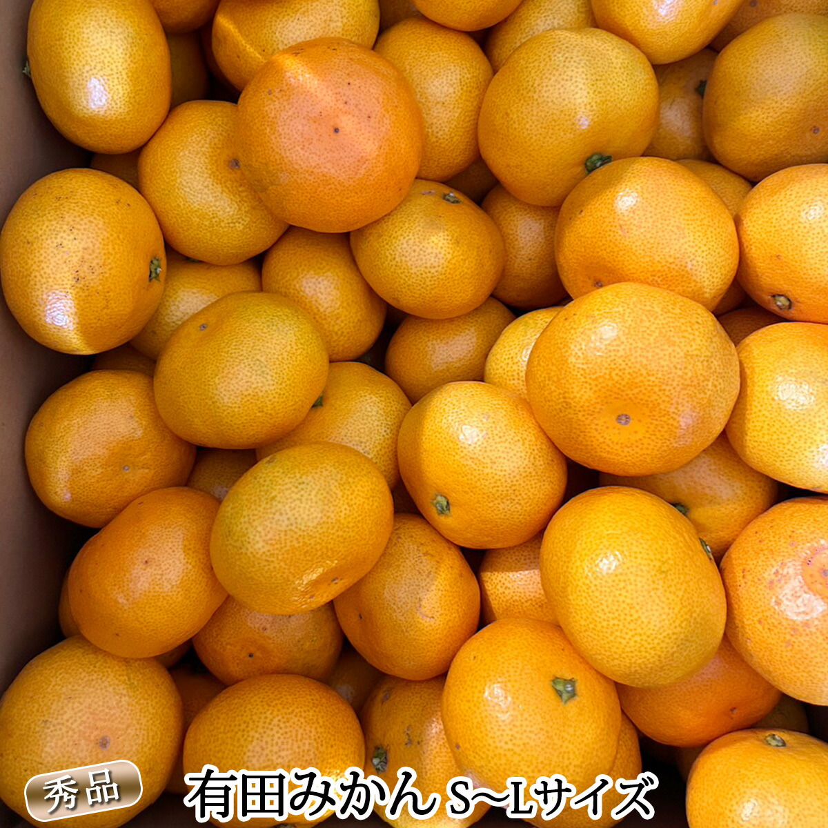 DZ6009n_01_【2026年1月発送】秀品 有田みかん 和歌山県産 S～Lサイズ 大きさお任せ 約3kg