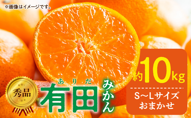 ya̎RLcS󒬁zDZ6200_01_y2026N1zGi Lc݂ a̎RY S`LTCY 傫C  10kg