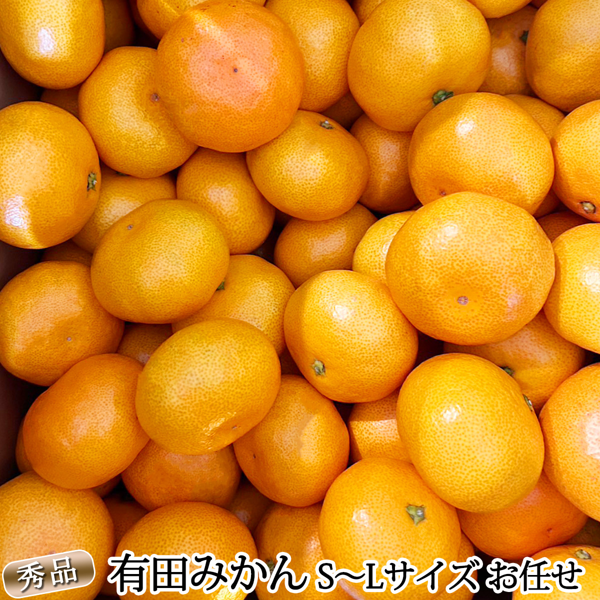 和歌山県湯浅町のふるさと納税 DZ6200_12_【2025年12月発送】秀品 有田みかん 和歌山県産 S～Lサイズ 大きさお任せ  約10kg