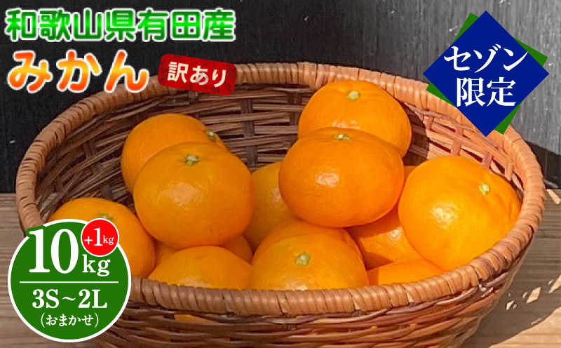 和歌山県湯浅町のふるさと納税 BT6008n-S_【セゾン限定】和歌山県有田産 みかん 約10kg+1kg 2L～3Sサイズ（おまかせ）【訳あり・家庭用】