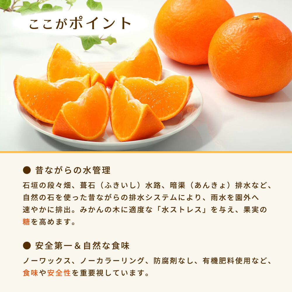 和歌山県湯浅町のふるさと納税 BT6008n-S_【セゾン限定】和歌山県有田産 みかん 約10kg+1kg 2L～3Sサイズ（おまかせ）【訳あり・家庭用】