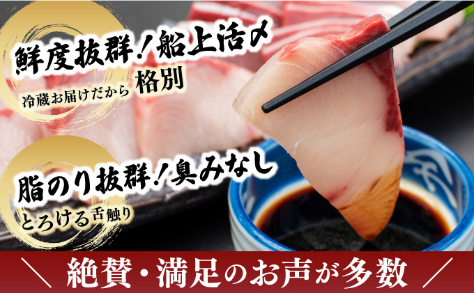 宮崎県串間市のふるさと納税 KU281＜2026年1月発送分＞活じめ！黒瀬ぶりの生鮮ブリロイン2節（1.0kg前後）