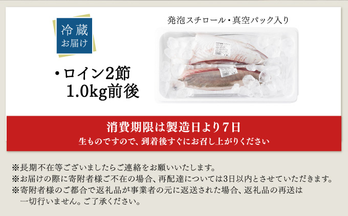 宮崎県串間市のふるさと納税 KU281＜2026年1月発送分＞活じめ！黒瀬ぶりの生鮮ブリロイン2節（1.0kg前後）