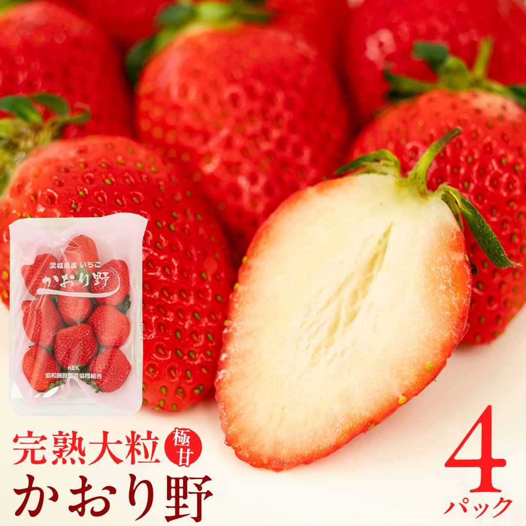 茨城県桜川市のふるさと納税 【 2026年1月上旬発送開始 】 完熟 かおり野 260g×4P 国産 いちご イチゴ 苺 果物 フルーツ 茨城県産 KEK 果物 フルーツ [BC032sa]