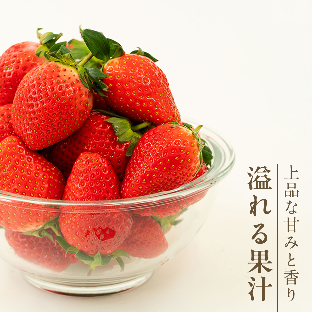 茨城県桜川市のふるさと納税 【 2026年1月上旬発送開始 】 完熟 かおり野 260g×4P 国産 いちご イチゴ 苺 果物 フルーツ 茨城県産 KEK 果物 フルーツ [BC032sa]