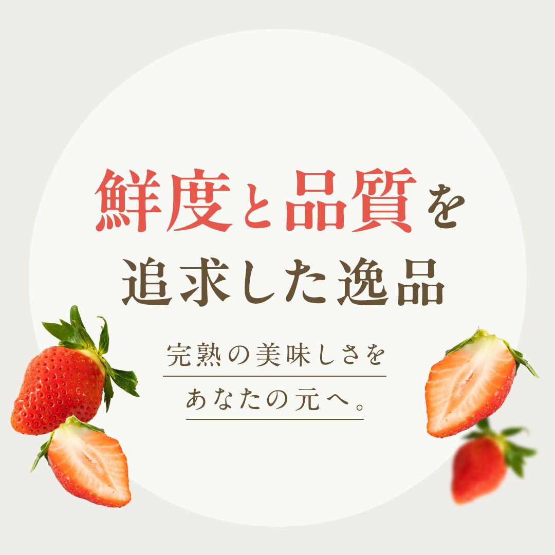 茨城県桜川市のふるさと納税 【 2026年1月上旬発送開始 】 完熟 かおり野 260g×4P 国産 いちご イチゴ 苺 果物 フルーツ 茨城県産 KEK 果物 フルーツ [BC032sa]