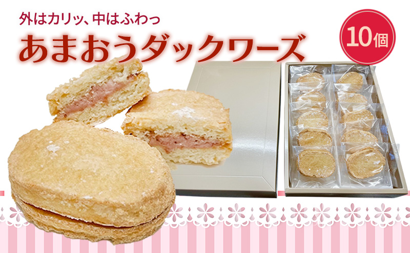 y品zmَq ܂ _bN[Y 10  XC[c َq َq