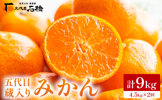 五代目・蔵入りみかん4.5kg×2回/ふるさと納税 佐賀 みかん オレンジ フルーツ濃厚 甘い 酸味 大町 贈答 ギフト 贈り物 42ik-005