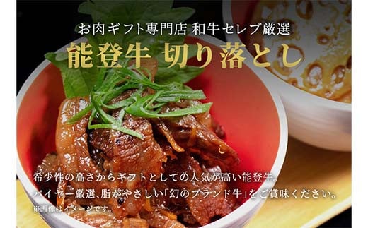 【和牛セレブ】能登牛 切り落とし 1kg（500g×2P）【2026年1月以降発送】牛 牛肉 ビーフ 肉 黒毛和牛 能登牛 和牛セレブ F6P-2530
