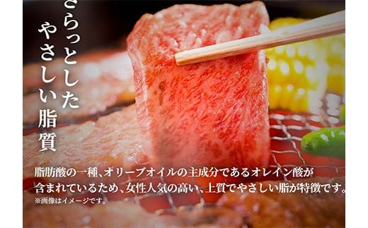 【和牛セレブ】能登牛 牛肩ロース 焼肉 1kg 【2026年1月以降発送】牛 牛肉 ビーフ 肉 黒毛和牛 能登牛 和牛セレブ F6P-2532