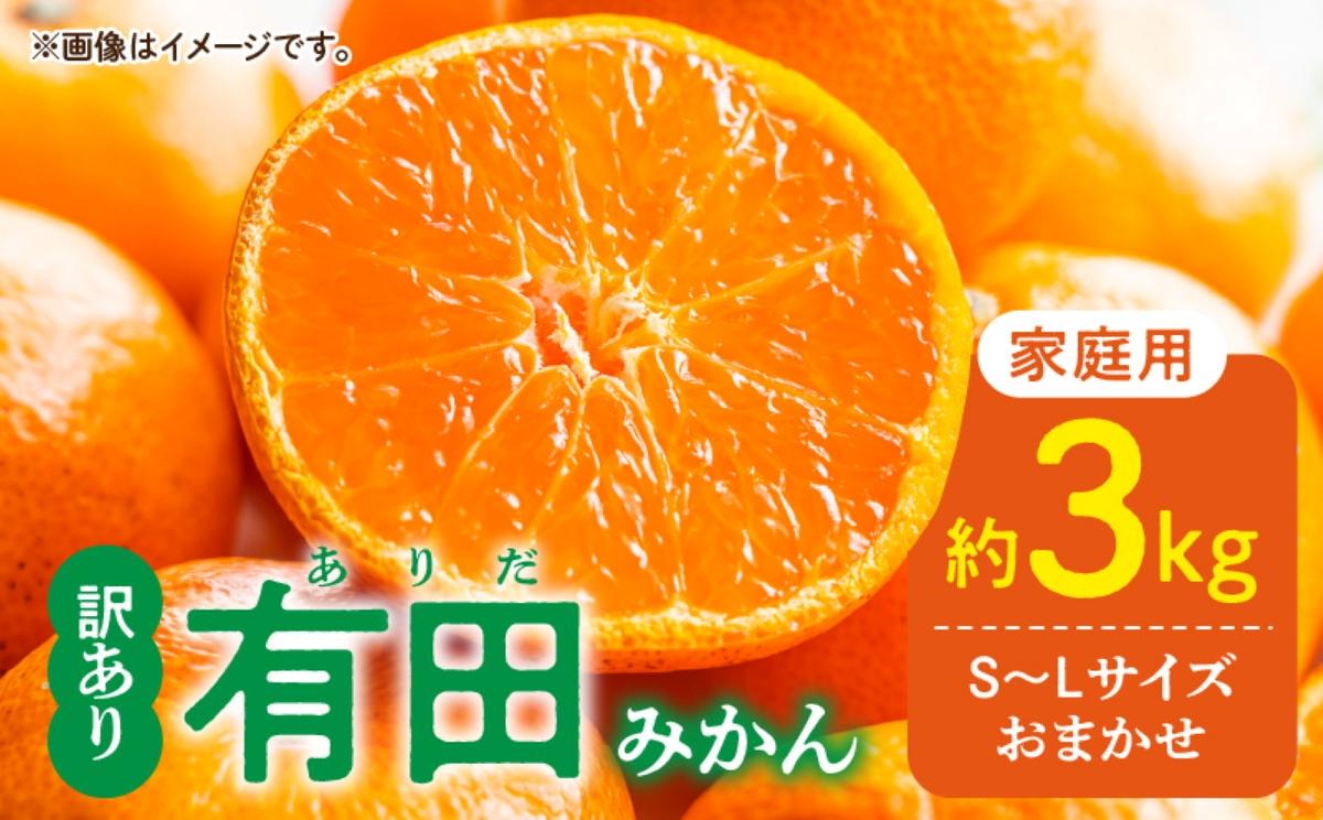 DZ6203_12_【2025年12月発送】ご家庭用 有田みかん 和歌山県産  S～Lサイズ 大きさお任せ 約3kg