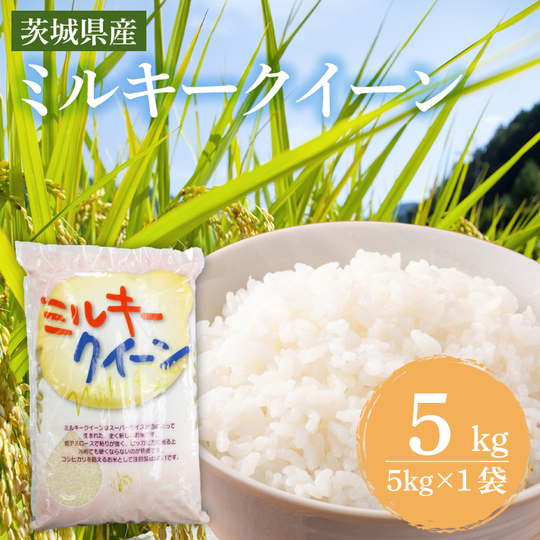 y錧sz錧Y~L[NC[@5kg (5kg×1) y    ɂ 錧Y s Y z (KY-23)