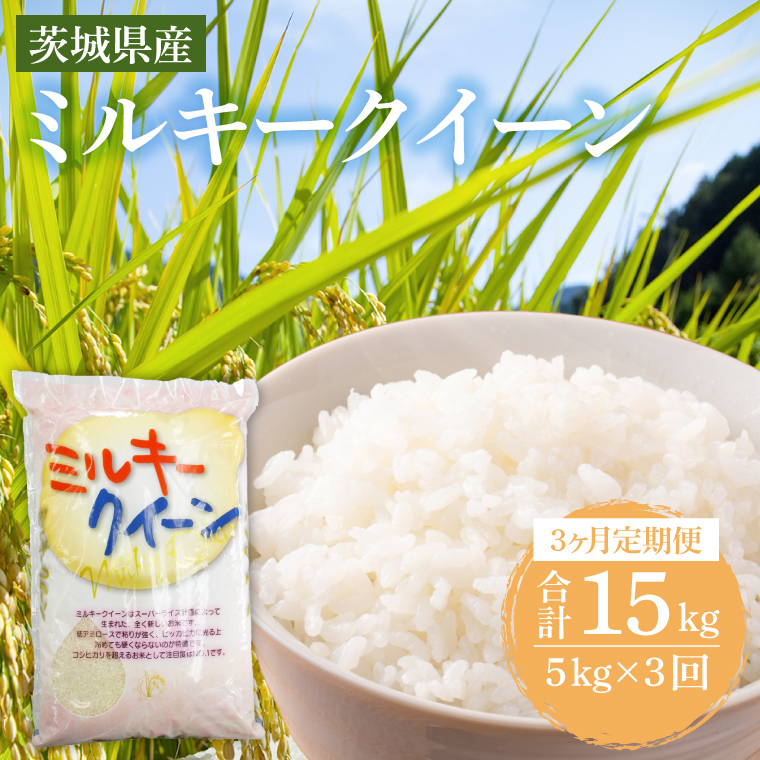 y錧szy3ցz錧Y~L[NC[ 5kg (5kg×1) y    ɂ 錧Y s Y z (KY-24)