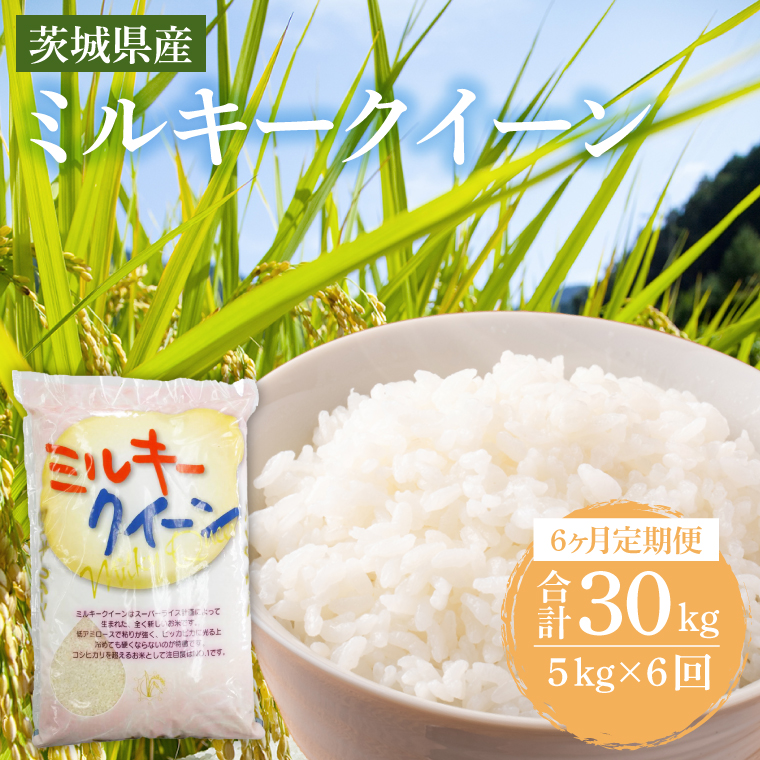 y錧szy6ցz錧Y~L[NC[ 5kg (5kg×1) y    ɂ 錧Y s Y z (KY-25)