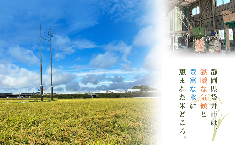 お米 選べる二種類 きぬむすめ にじのきらめき にこまる 米 コメ 精米 白米 袋井市 静岡県