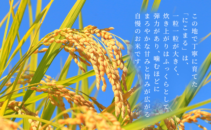 お米 にこまる(特A)  5kg×2kg 合計10kg 米 コメ にこまる 精米 白米 ふっくら まろやかな甘み 旨み ふっくら つややか 炊き込みご飯 袋井市 静岡県
