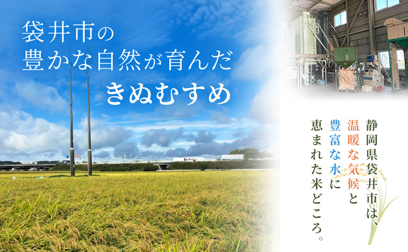 お米 きぬむすめ(特A) 5kg×2kg 合計10kg 米 コメ きぬむすめ 精米 白米 ふっくら つやつや 甘み お弁当 おにぎり 袋井市 静岡県