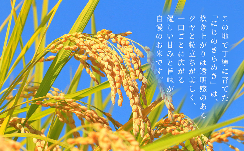 お米 にじのきらめき 5kg×2kg 合計10kg 米 コメ にじのきらめき 精米 白米 透明感 優しい甘み 旨味 卵かけご飯 塩むすび 袋井市 静岡県