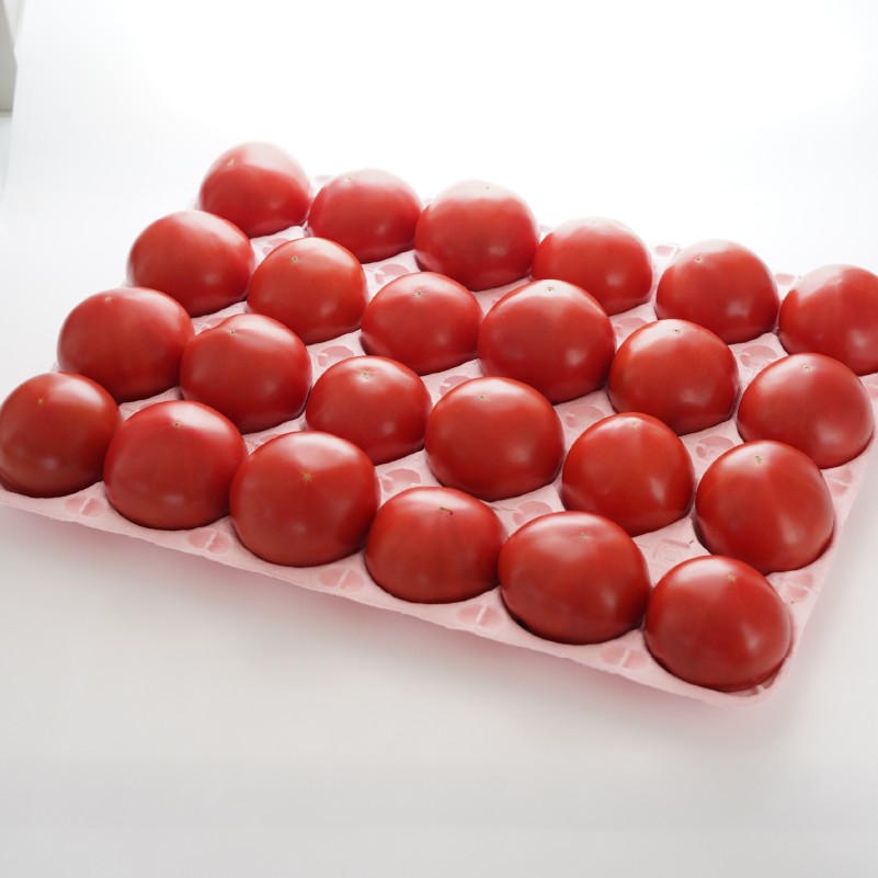 定期便 3回 岸本くんの 完熟 トマト 26000円 とまと ミニトマト 大玉 イエローアイコ パック トマトジュース トマトケチャップ トマトソース 4kg 野菜 国産 産地直送 農家直送 期間限定 数量限定 特産品 人気 ブランド アイコ 高糖度 ハウス栽培 お取り寄せ 料理 に 冷凍 保存 もおすすめ 岸本 真一 愛南町 愛媛県