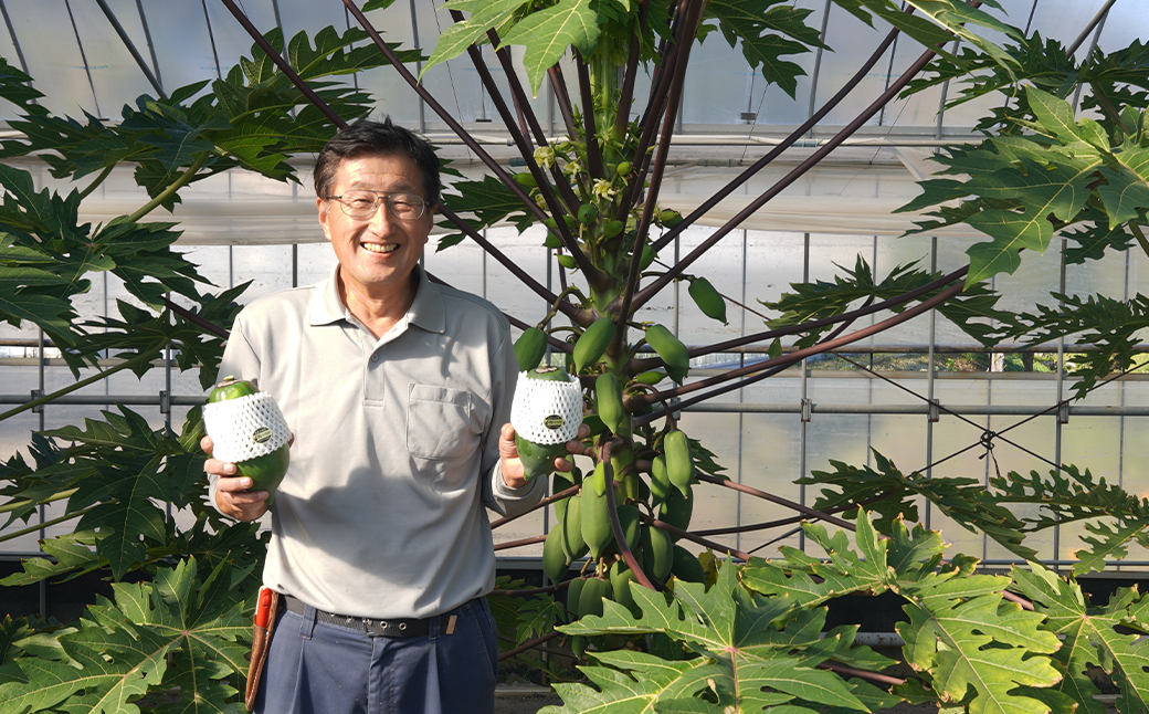 淡路の青パパイヤピクルス（オリジナル・カレー）と青パパイヤ・イチジクジャム3本セット