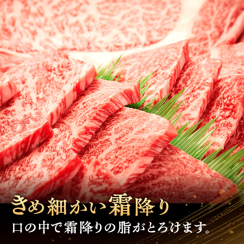 肉の横綱　伊賀牛　バーベキューセット1　800g(赤身、カルビ、サイコロ、厚切り牛タン、鶏モモ、豚カルビ)/冷凍発送　産直　自家牧場　焼肉　奥田　オクダ