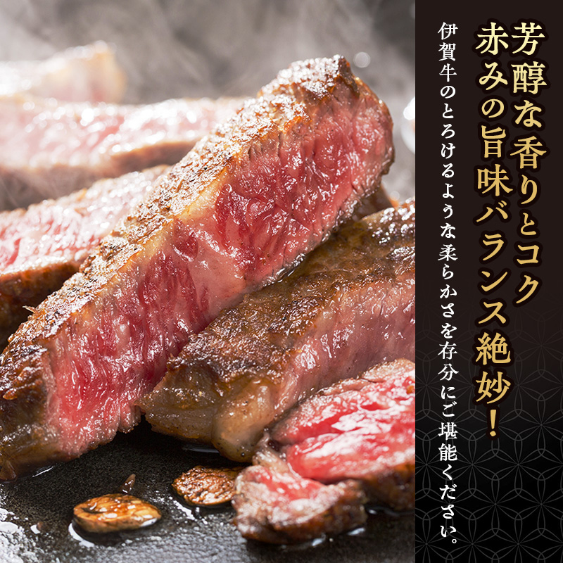 伊賀牛ステーキセット (約550g)